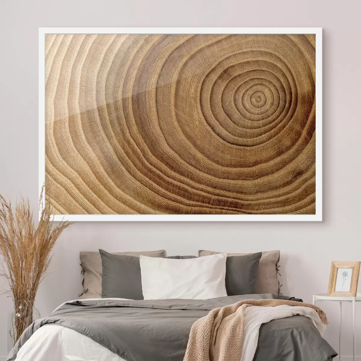 Poster Coupe transversale d'un arbre f35991