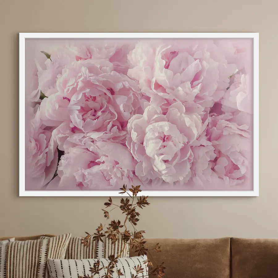Papier peint Pivoines aériennes f35248