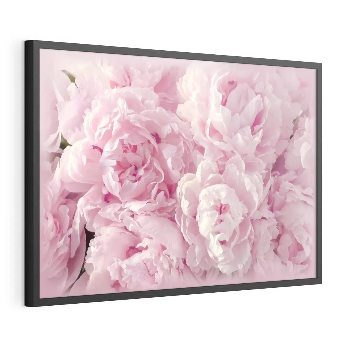 Poster Pivoines aériennes f35248