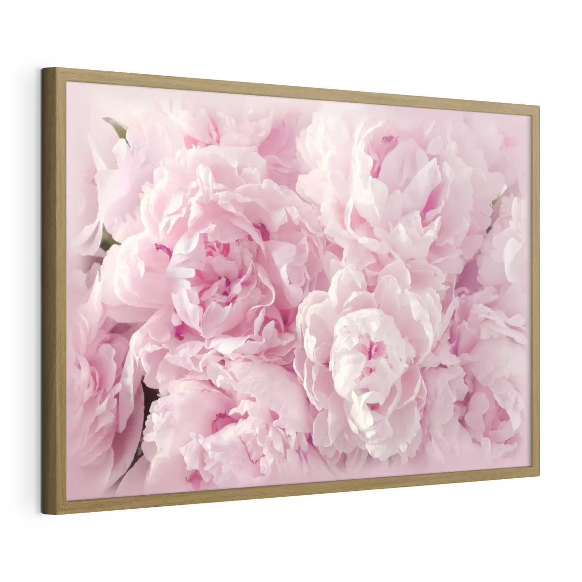 Poster Pivoines aériennes f35248