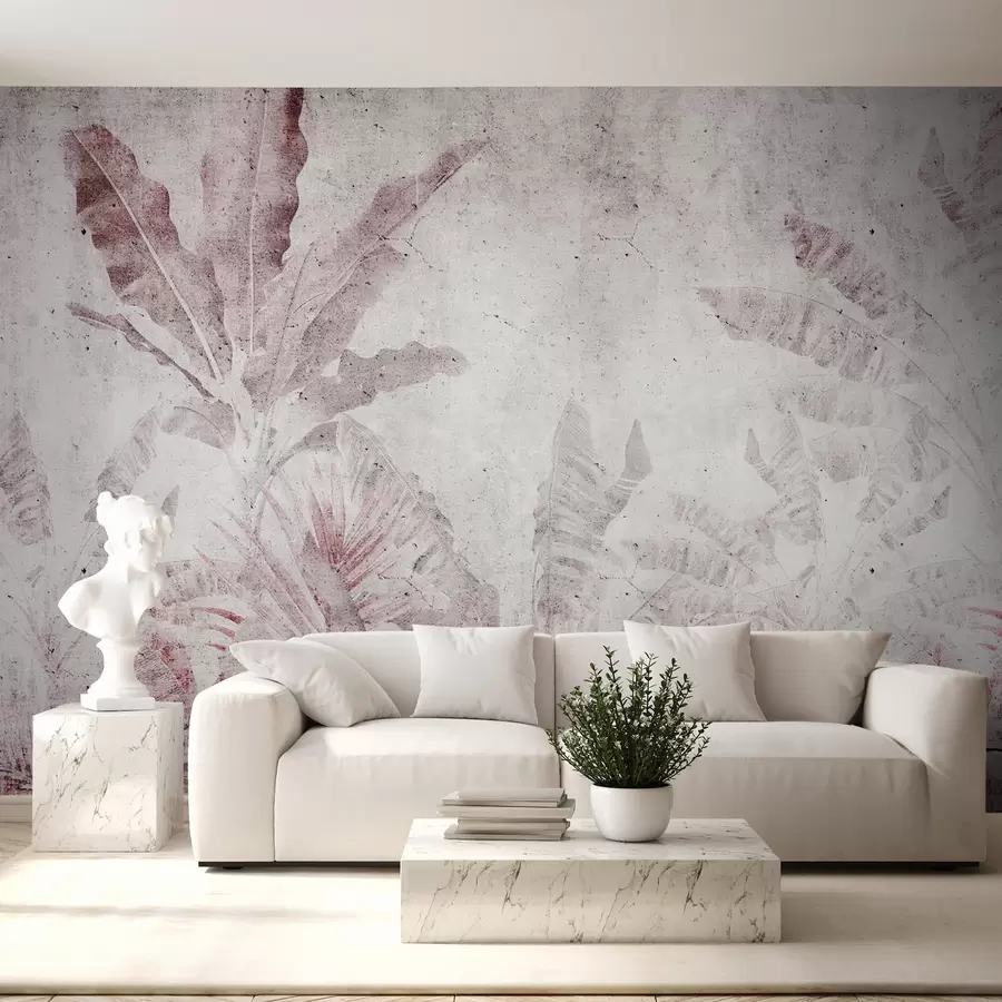 Papier peint Feuilles de bananier sur un mur en béton u73886v2
