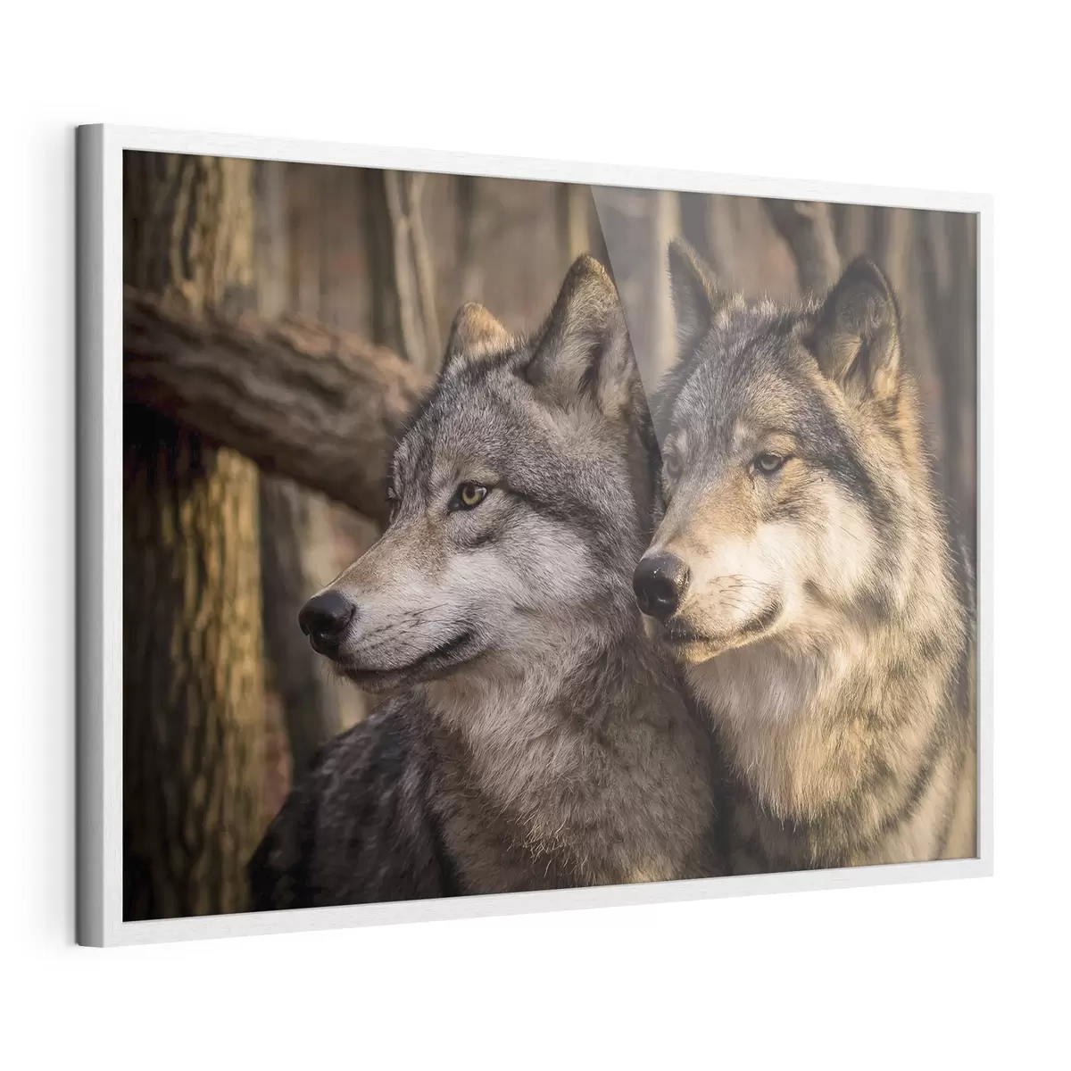 Poster Regard et confiance f15522