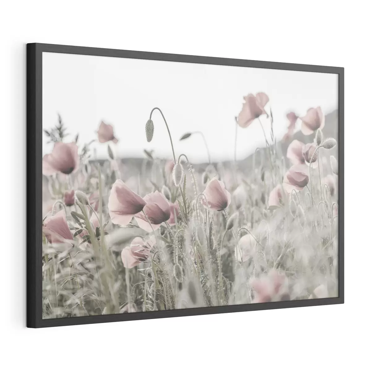 Poster Coquelicots aux couleurs sourdes f35592