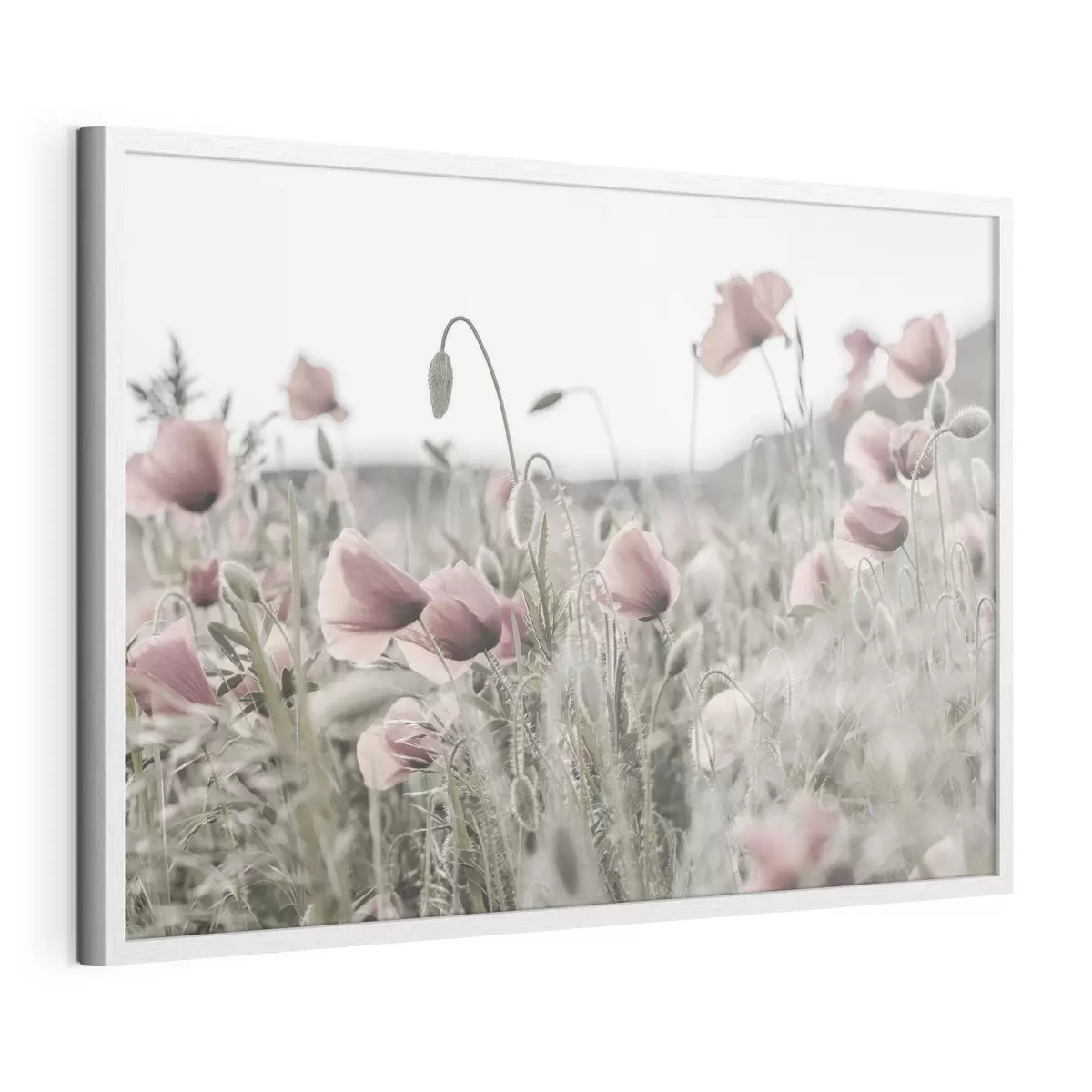 Poster Coquelicots aux couleurs sourdes f35592