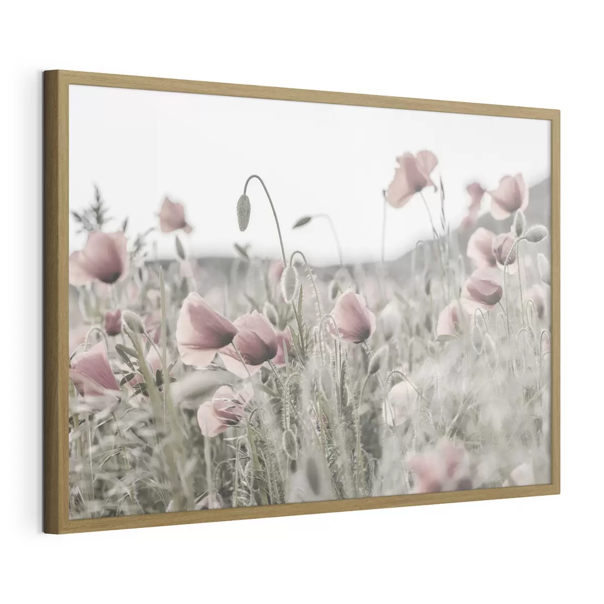 Poster Coquelicots aux couleurs sourdes f35592