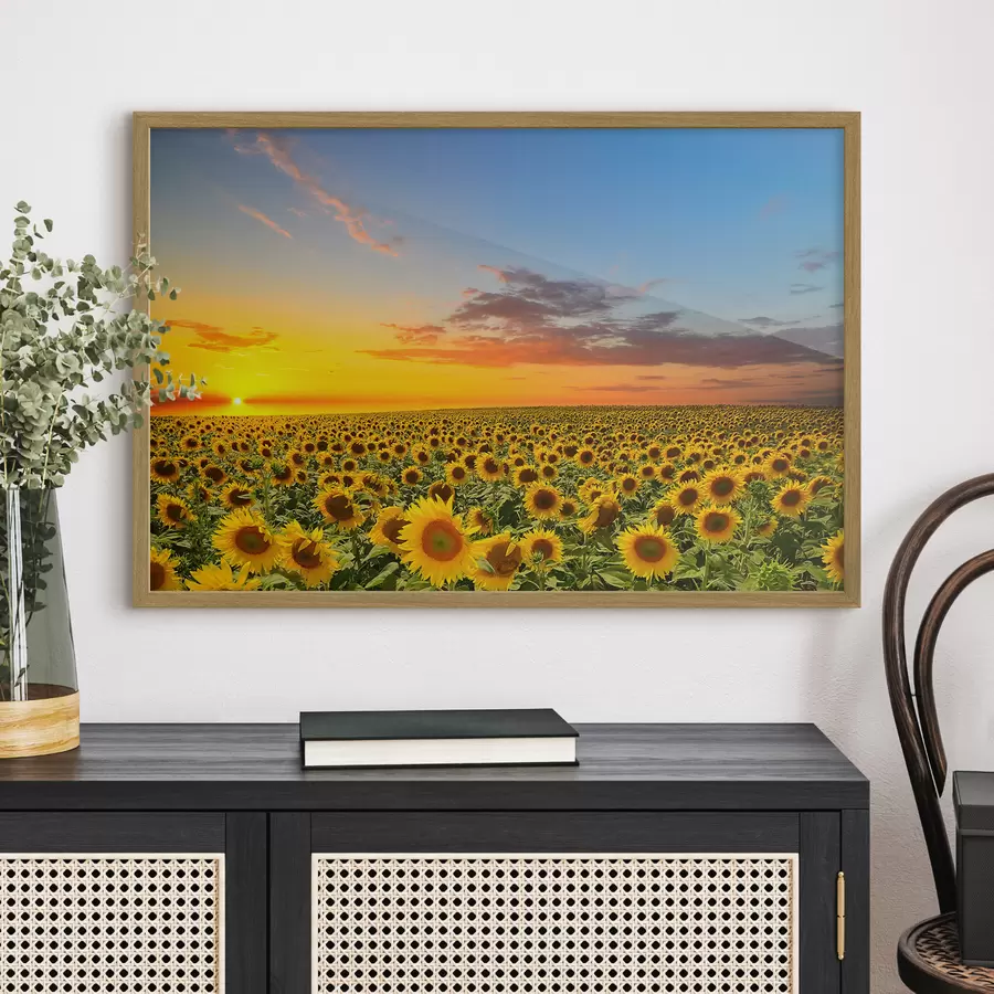 Papier peint Aube dans un champ de tournesols f05429