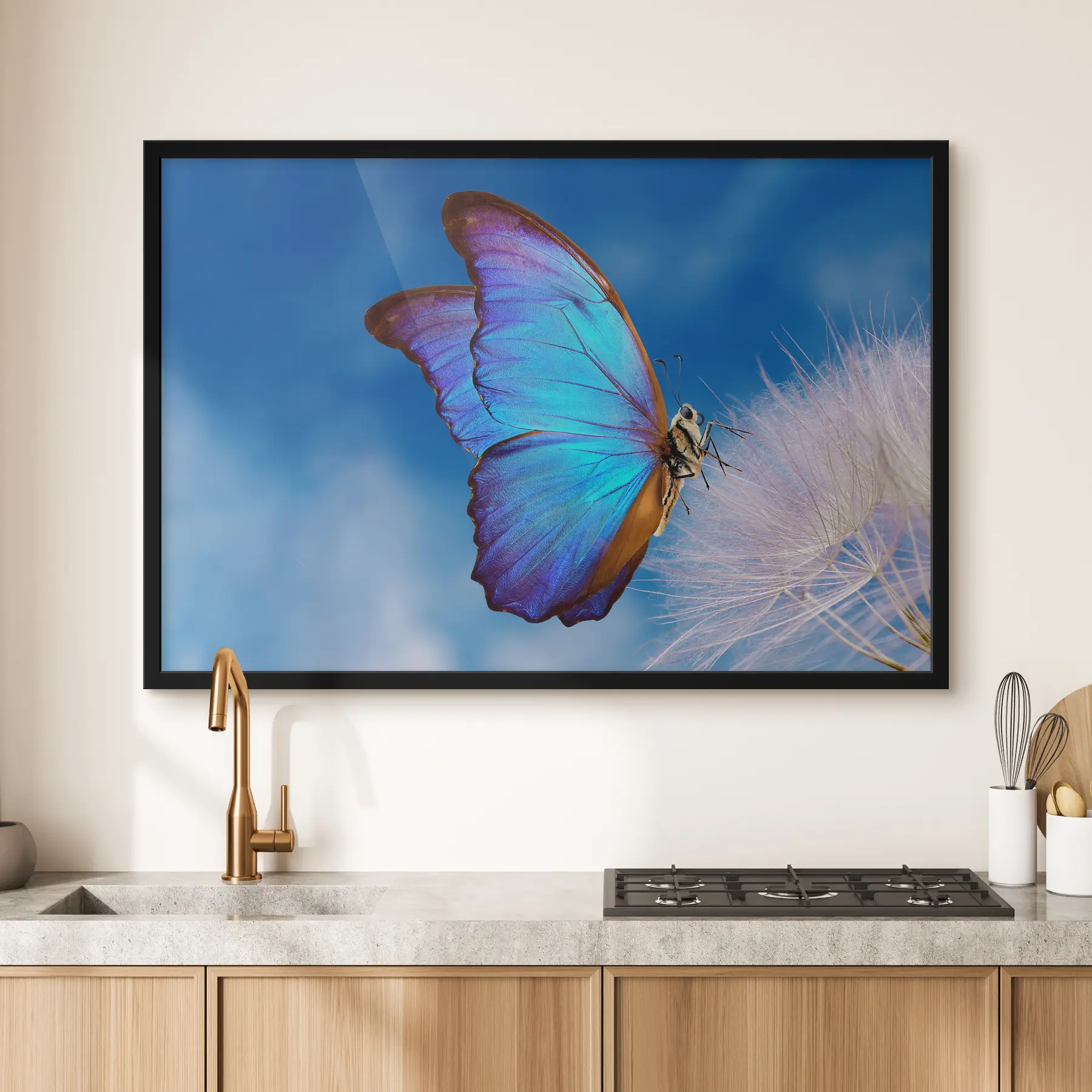 Papier peint Papillon sur un pissenlit f34923